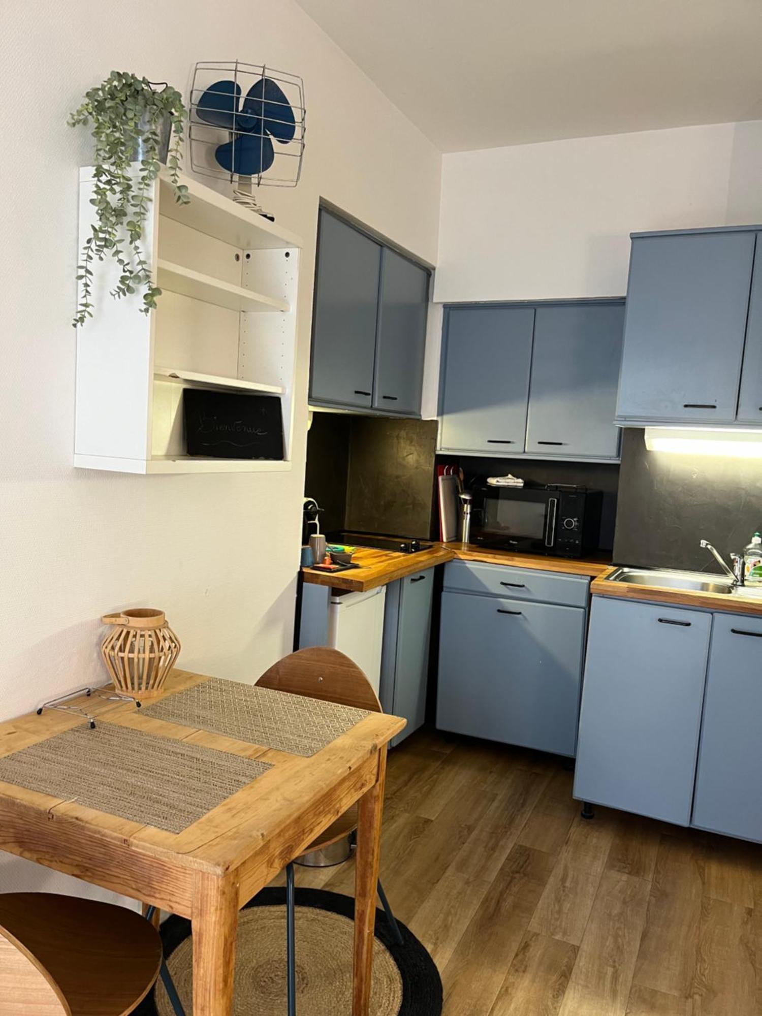 Studio Indepdt Centre Ville 300M Du Lac D'Annecy ヴェリエ・デュ・ラック エクステリア 写真